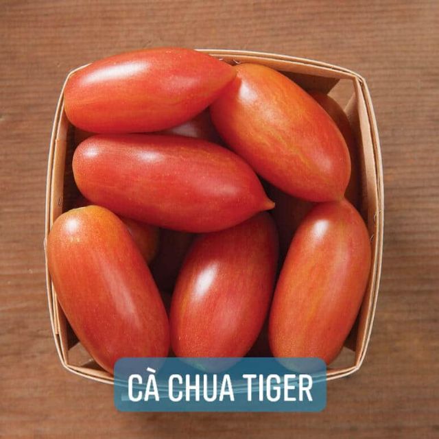 Cà chua Cherry Tiger Đỏ - Combo 5 hạt