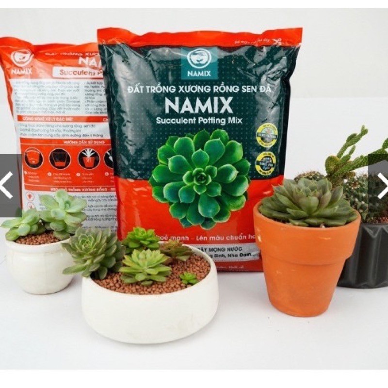 Bao 5dm3 Đất trồng xương rồng sen đá Namix (Succulents Potting Mix)