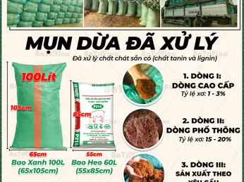 Mụn Dừa Đóng Bao Đã Xử Lý - Dòng mụn dừa cao cấp