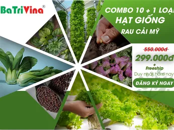 HẠT GIỐNG MỸ CỦA BATRIVINA CÓ GÌ ĐẶC BIỆT?