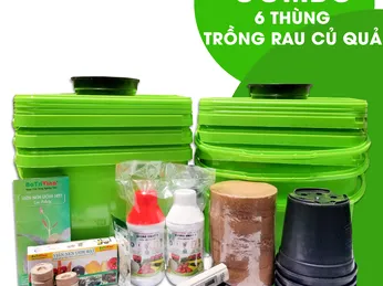 CHỈ TỐN TRÊN DƯỚI 1 TRIỆU ĐỒNG MÀ BẠN ĐÃ SỞ HỮU NGAY MỘT BỘ TRỒNG RAU THUỶ CANH GỌN NHẸ