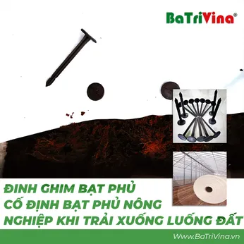 Đinh Ghim Bạt Phủ (Kg)