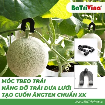 MÓC TREO TRÁI CAO CẤP