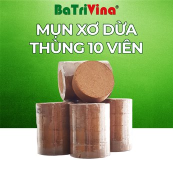 [FreeShip] Combo 10 viên Mụn Dừa Ép Bánh BaTriVina 