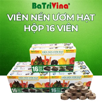 [FreeShip] Combo 6 Hộp - Hộp 16 Viên Nén Ươm Hạt BaTriVina