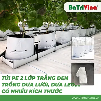 Túi PE 2 lớp trắng đen, trồng cây dưới lưới, dưa leo, cà chua,... nông nghiệp nhà màng (Giá theo 1kg)