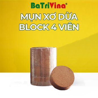 Block 4 viên Mụn Dừa Ép Bánh BaTriVina