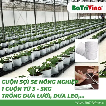 1 Cuộn Nguyên Sợi Dây SE Nông nghiệp - Sợi Dây Treo Trồng Dưa Lưới, Dưa Leo (giá theo 1Kg - 1 cuộn từ 3-5kg)