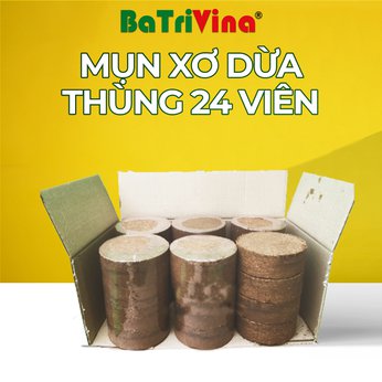 Mụn Dừa Ép Bánh BaTriVina (Thùng 24 viên 450 gram)