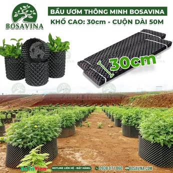 [FreeShip] (Cao 30 cm - Cuộn dài 50 m - Dày 0.7) Bầu Ươm Thông Minh BoSaVina  