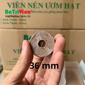 VIÊN NÉN ƯƠM HẠT 36 MM (COIR PELLETS)
