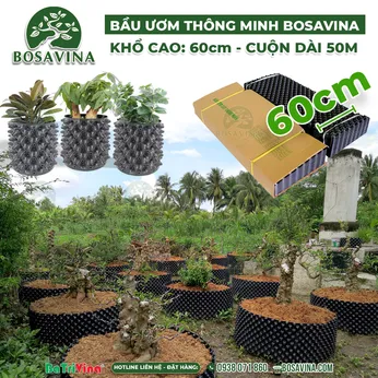 [FreeShip] (Cao 60 cm - Cuộn dài 50 m - Dày 0.7) Bầu Ươm Thông Minh BoSaVina  