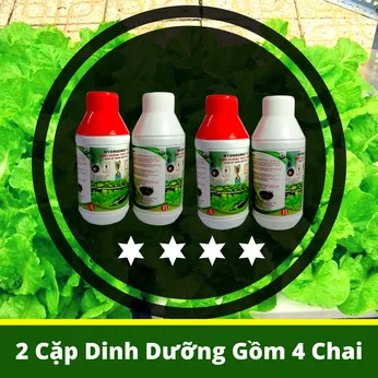 COMBO 2 CẶP THỦY CANH ĂN LÁ (GIÁ SỈ GỐC TỪ 25 CẶP)