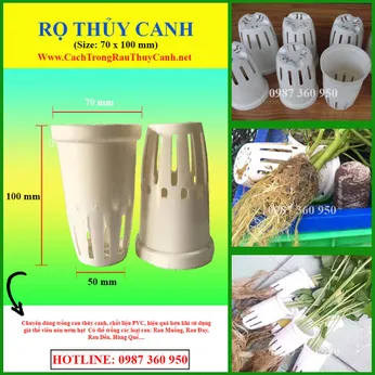 Rọ Thủy Canh Trắng 6,5 cm x 10 cm