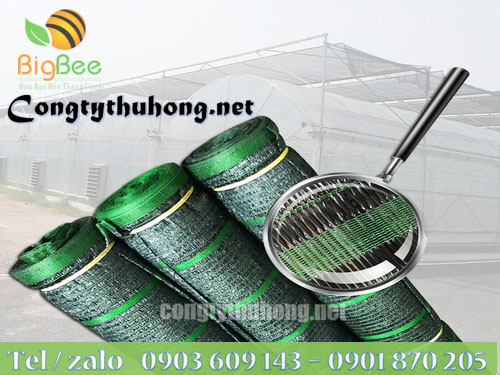 Lưới nhựa xanh đen Thái Lan với độ che phủ 70%