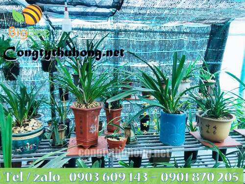 Sử dụng lưới nhựa nhằm hạn chế ánh nắng chiếu trực tiếp vào