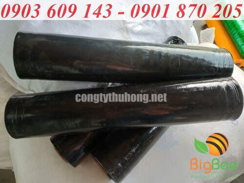 Màng PE đen khổ 50cm tại xưởng
