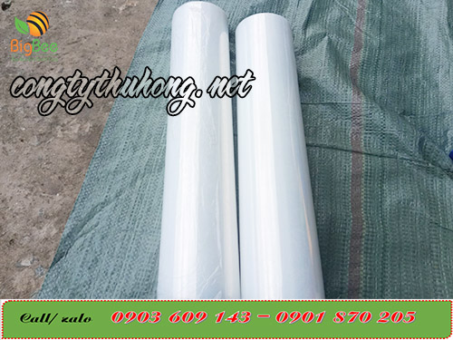 Cuộn màng pe khổ 50cm