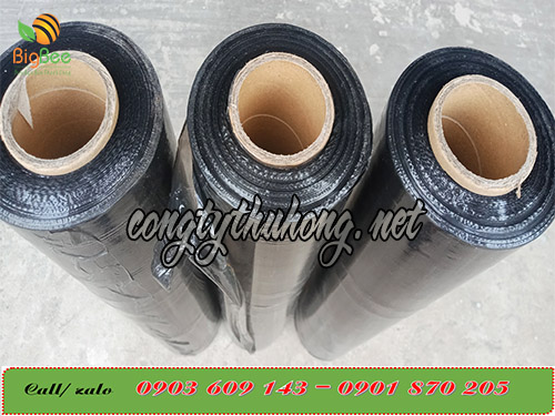 Cuộn màng pe đen quấn pallet khổ 50cm