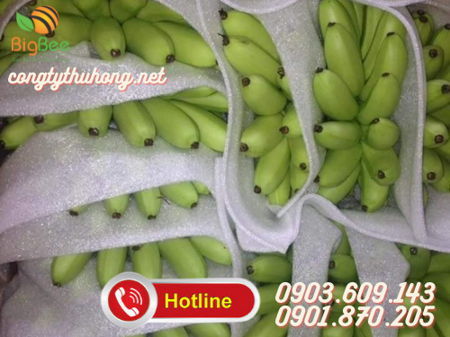 mút xốp pe foam chèn trái cây