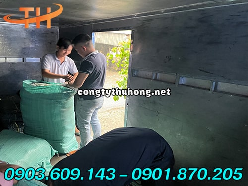 Bao tải đóng hàng Bao tải đóng hàng