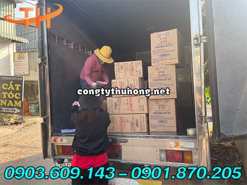màng bọc thực phẩm màng bọc thực phẩm