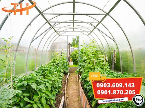 Ứng dụng lưới chắn côn trùng Ứng dụng lưới chắn côn trùng