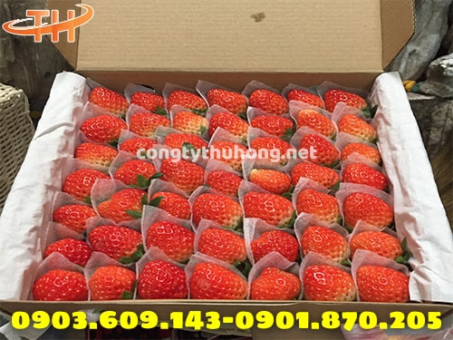 Xốp foam bọc trái cây Xốp foam bọc trái cây