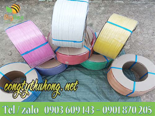 Các loại dây đai niềng hàng hóa