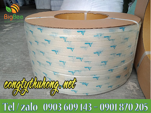 Cuộn dây đai pp trong suốt in logo