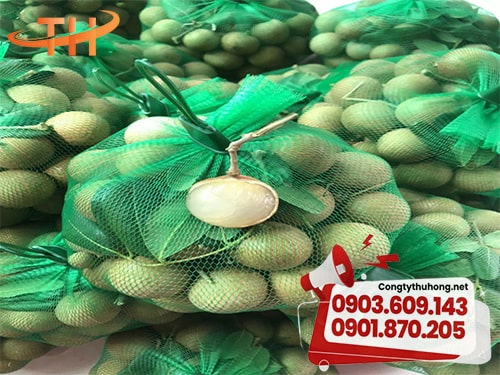 Túi lưới đựng trái cây Túi lưới đựng trái cây