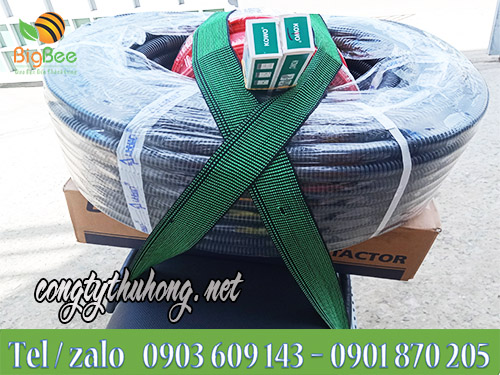 Dây ràng bản dẹt được sử dụng phổ biến chở hàng trên xe máy