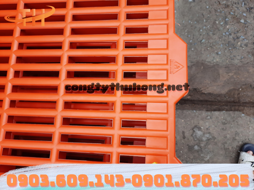 Sàn nhựa nuôi heo