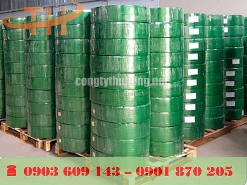 Cuộn dây đai nhựa PET 10kg tại xưởng