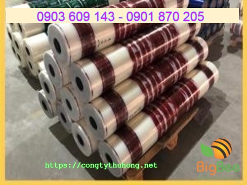 màng bảo vệ in logo