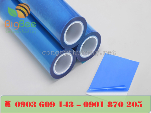 Màng PE chống trầy màu xanh dương