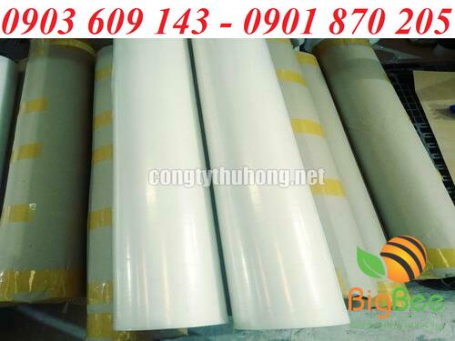 Cuộn màng chống trầy trong suốt