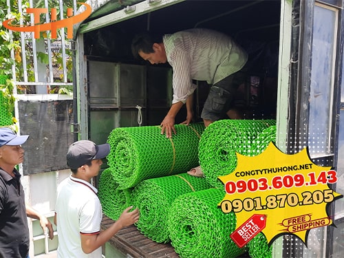 lưới nhựa mắt cáo Lưới nhựa xanh