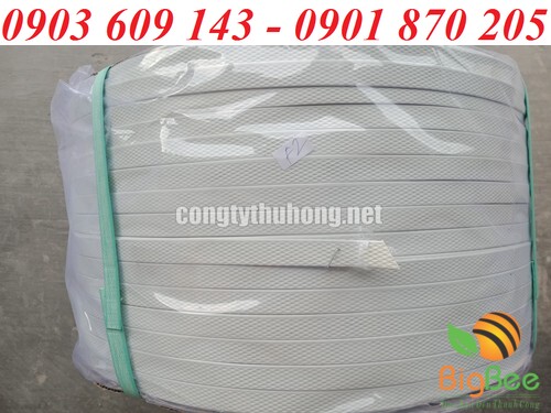 Dây đai nhựa PP màu trắng tại xưởng