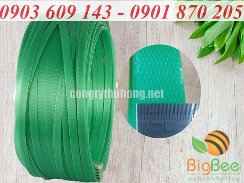Dây đai nhựa pet màu xanh bản rộng 1,8cm