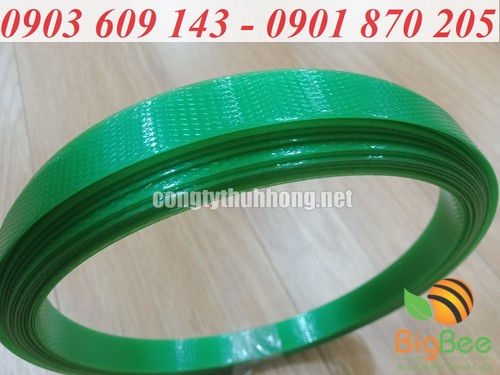 Dây đai nhựa PET nhám màu xanh