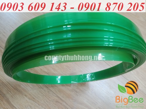 Dây đai nhựa pet trơn màu xanh