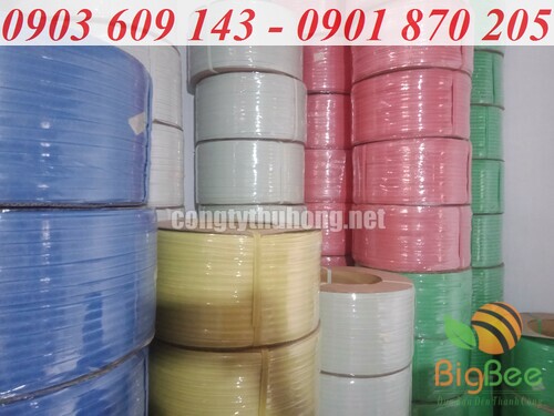 Cuộn dây đai nhựa PP nhiều màu tại xưởng