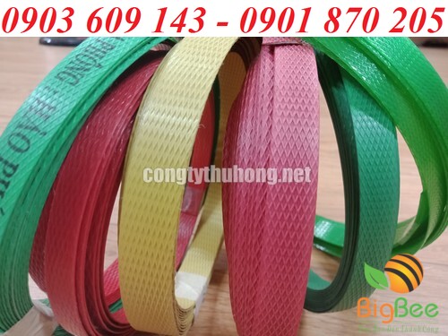 Dây đai nhựa pp, nhựa pet nhiều màu