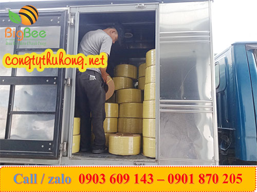 Lên hàng dây đai vàng 1f4