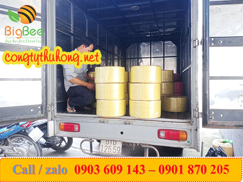 Lên hàng dây đai vàng 1f4 cho đại lí