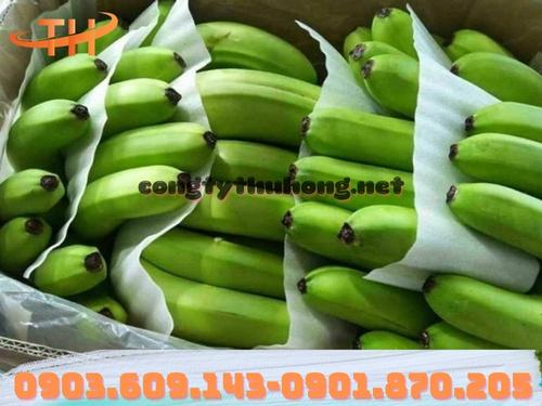 Mút xốp pe foam Mút xốp pe foam