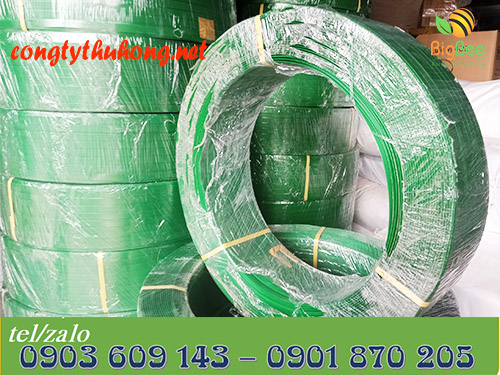 Cuộn dây đai nhựa PET gai màu xanh cuộn 20kg