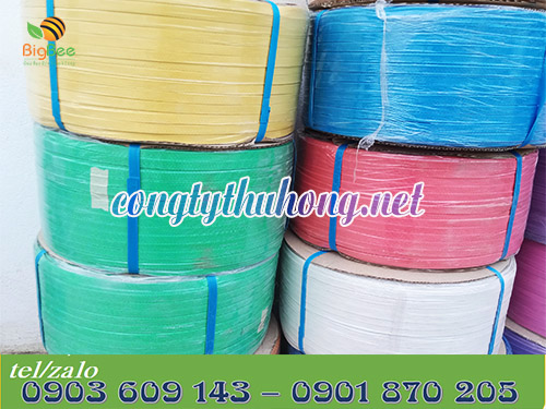 Cuộn dây đai pp 1f2