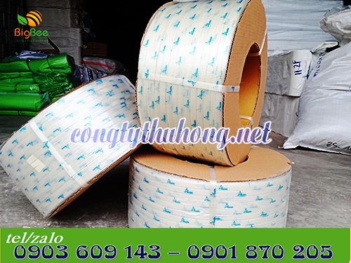 Dây đai nhựa pp trắng trong in logo